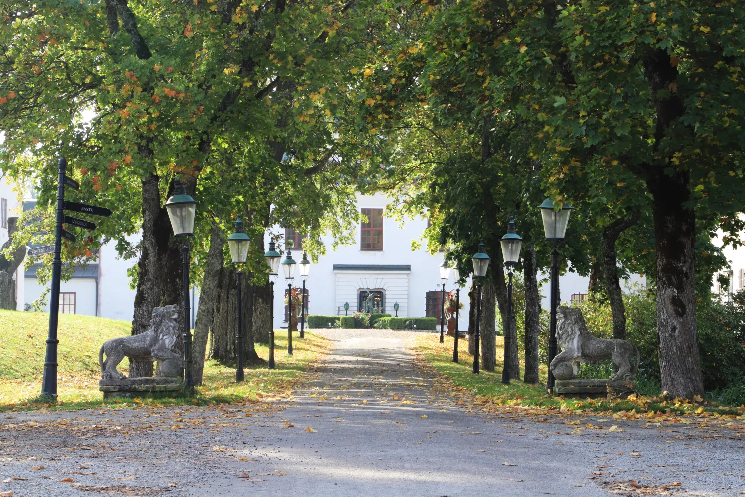 Höstlöv på Häringe