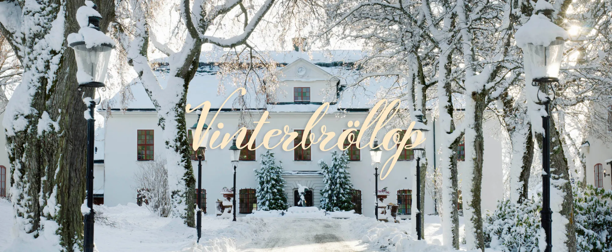 Vinterbröllop